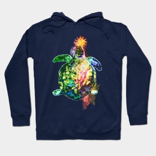 The Cosmic Color Bringer Hoodie